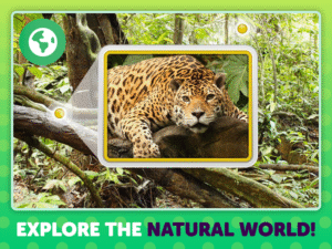 PlayKids Baby Learning Games 6.0.46