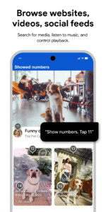 Voice Access 16.2.829506306 Voice Access 16.2.829506306
