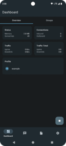 sing-box 1.13.4 sing-box 1.13.4