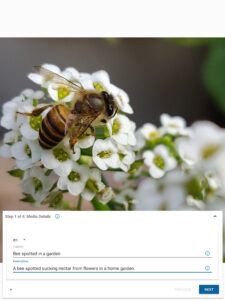 Wikimedia Commons 6.2.0