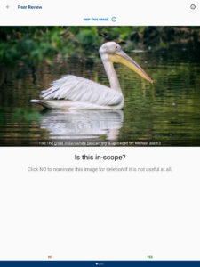 Wikimedia Commons 6.2.0