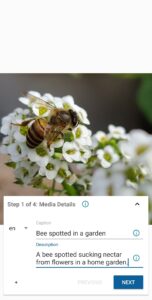 Wikimedia Commons 6.2.0