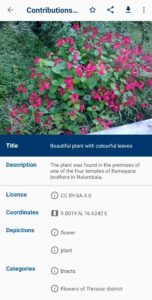 Wikimedia Commons 6.2.0