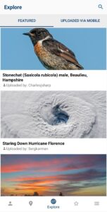 Wikimedia Commons 6.2.0