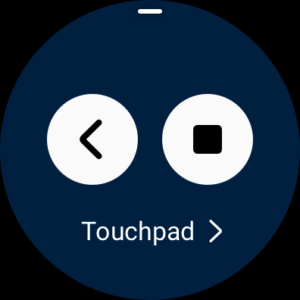 Samsung PPT Controller (Wear OS) 1.0.08.6
