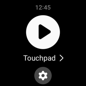 Samsung PPT Controller (Wear OS) 1.0.08.6