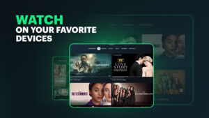 Hulu: Stream TV shows & movies 6.29.0+16756762-google