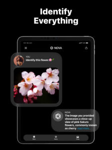 AI Chatbot - Nova 4.0.10