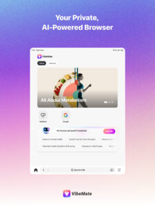 VibeMate 3.4.8 VibeMate 3.4.8