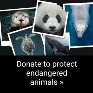 Samsung Global Goals 3.6.00.7 (Android 10+) Samsung Global Goals 3.6.00.7 (Android 10+)