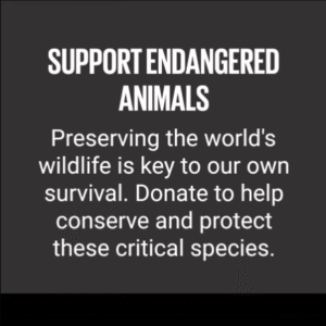 Samsung Global Goals 3.6.00.7 (Android 10+) Samsung Global Goals 3.6.00.7 (Android 10+)