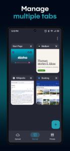 Aloha Browser - Private VPN 7.3.1 Aloha Browser - Private VPN 7.3.1