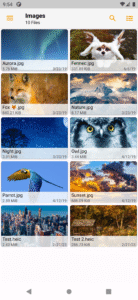 Fennec File Manager 4.3.0