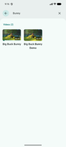 Next Player (f-droid version) 0.19.0