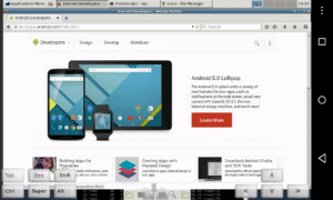 bVNC: Secure VNC Viewer v6.3.3