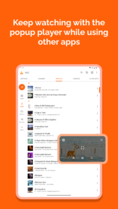 VLC for Android 3.0.5 VLC for Android 3.0.5