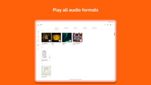 VLC for Android 3.0.5 VLC for Android 3.0.5