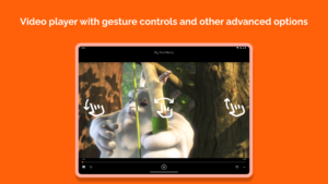 VLC for Android 3.0.5 VLC for Android 3.0.5