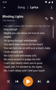 Music Player - MP3 Player 12.9