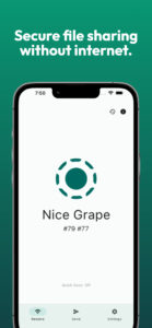 LocalSend: Transfer Files (github version) 1.17.0