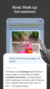 Notewise - AI Notes, PDF, Docs 2.19.4 Notewise - AI Notes, PDF, Docs 2.19.4