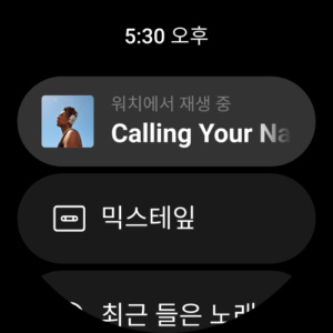 네이버 VIBE (바이브) (Wear OS) 4.3.8