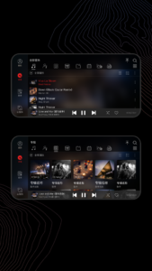 FiiO Music 3.3.2 FiiO Music 3.3.2