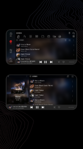 FiiO Music 3.3.2 FiiO Music 3.3.2