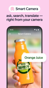 Yandex Browser with Alice AI 21.2.2.99