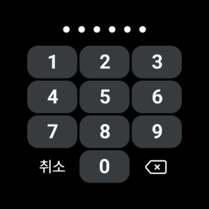 PAYCO (Wear OS) 1.6.0 PAYCO (Wear OS) 1.6.0