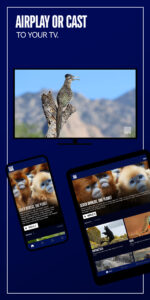 BBC America 7.4.3.2 BBC America 7.4.3.2