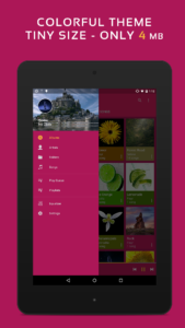 Pulsar Music Player 1.13.11