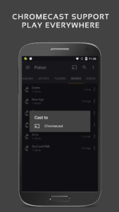 Pulsar Music Player 1.13.11
