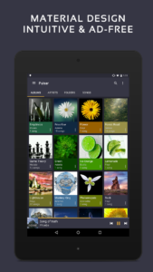 Pulsar Music Player 1.13.11