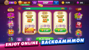 Backgammon Plus - Board Game 3.8.0