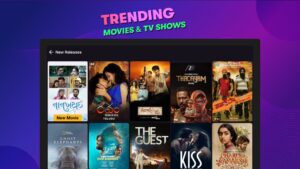 OTTplay: Watch Movies & Shows 0.37.91