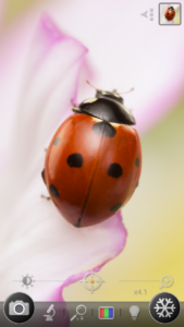 Magnifier & Microscope [Cozy] 6.7.0