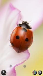 Magnifier & Microscope [Cozy] 6.7.0