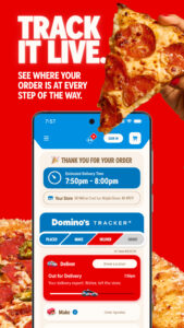 Domino's Pizza USA 13.2.1