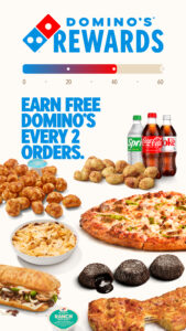 Domino's Pizza USA 13.2.1