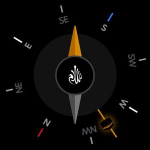 Salaam: Quran & Prayer Times 3.5.0