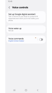 Galaxy Buds 9.0.00.700