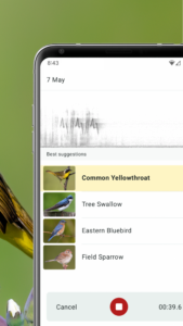 Merlin Bird ID by Cornell Lab 3.11