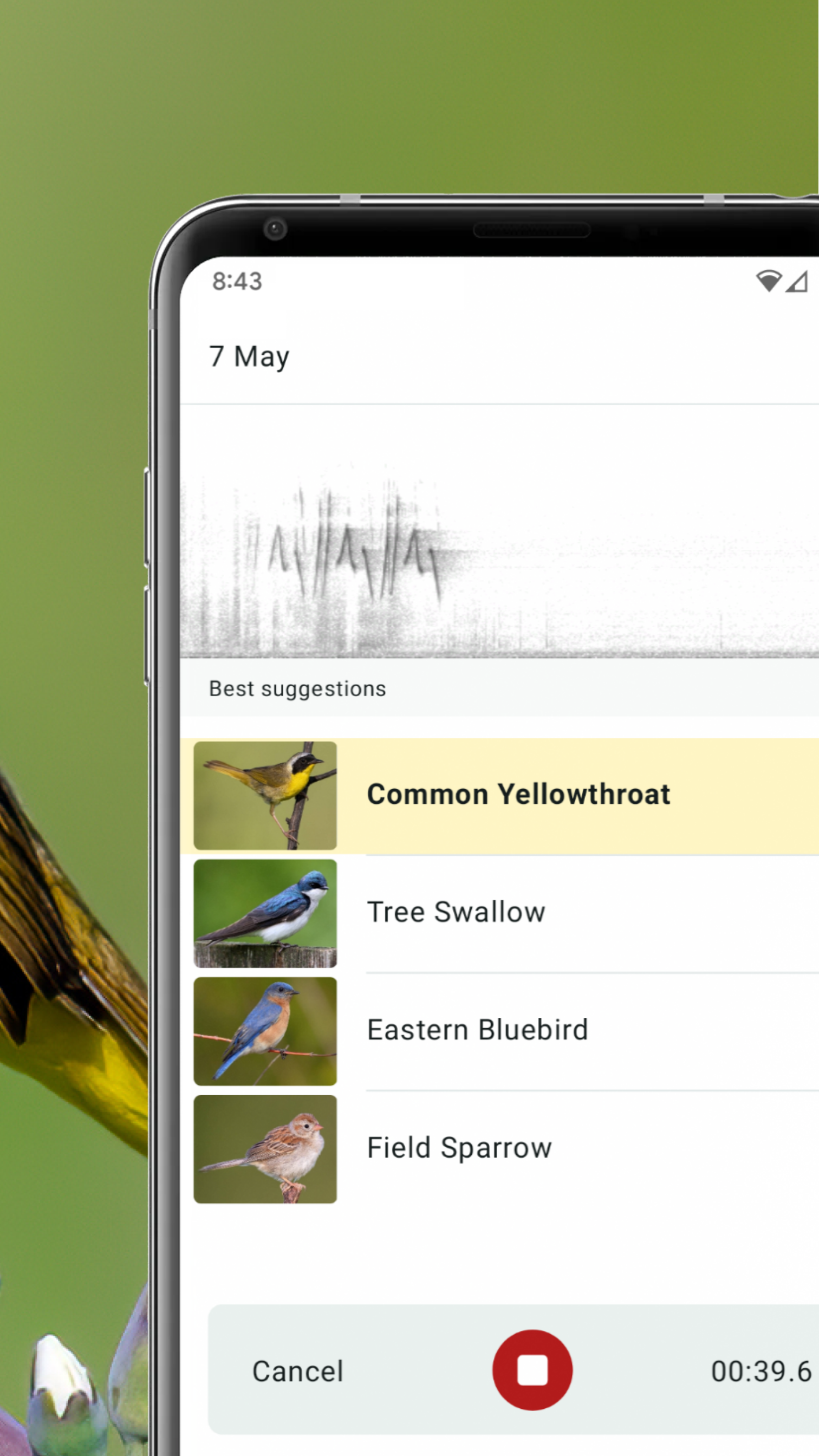 Merlin Bird ID by Cornell Lab 3.12.1 APK Download by Cornell Lab of ...