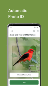 Merlin Bird ID by Cornell Lab 3.11