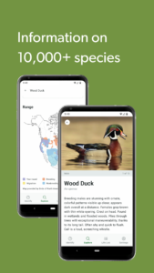 Merlin Bird ID by Cornell Lab 3.11