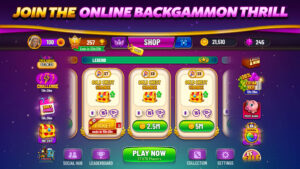 Backgammon Plus - Board Game 1.6.1