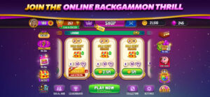 Backgammon Plus - Board Game 1.6.1