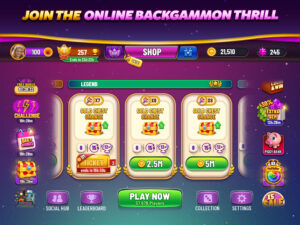 Backgammon Plus - Board Game 1.6.1