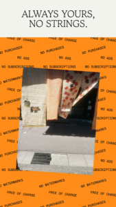 Snapseed 4.0.0.912303713